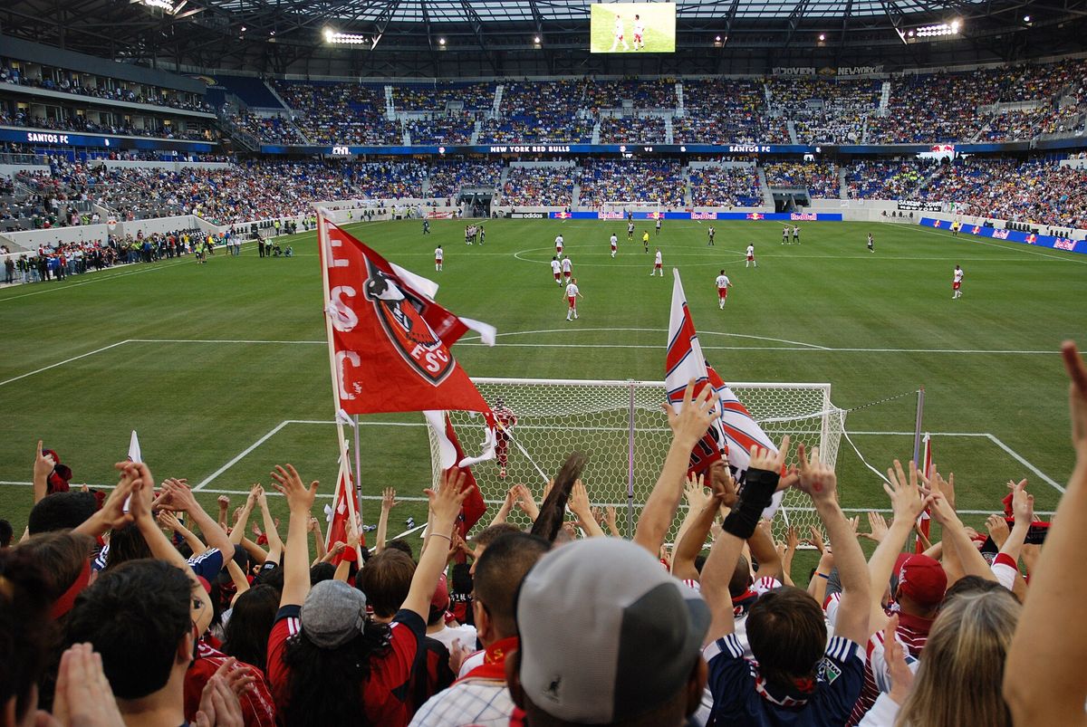 Red Bull New York supporters waving flags